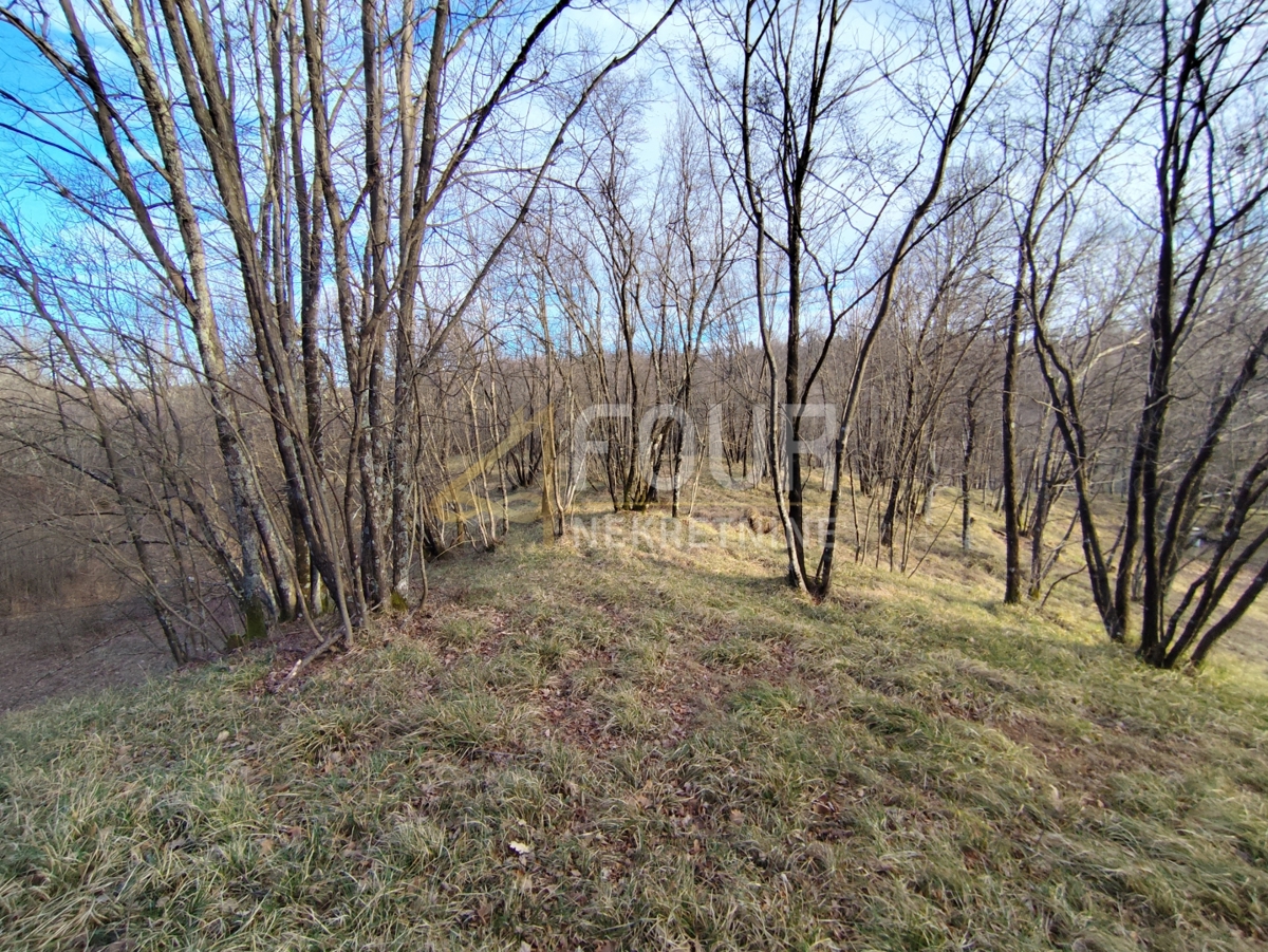 Grundstück Zu verkaufen - Primorsko-goranska Viškovo - foto 1/25