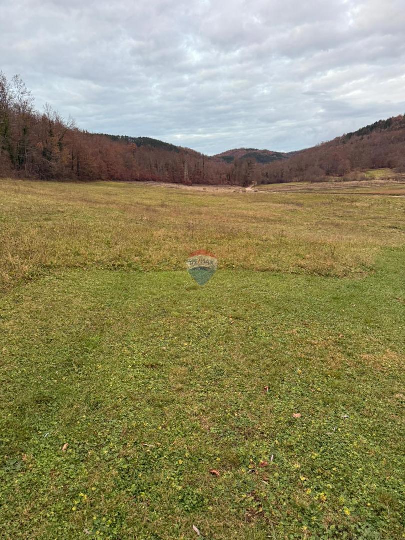 Zemljište Na prodaju - ISTARSKA PAZIN
