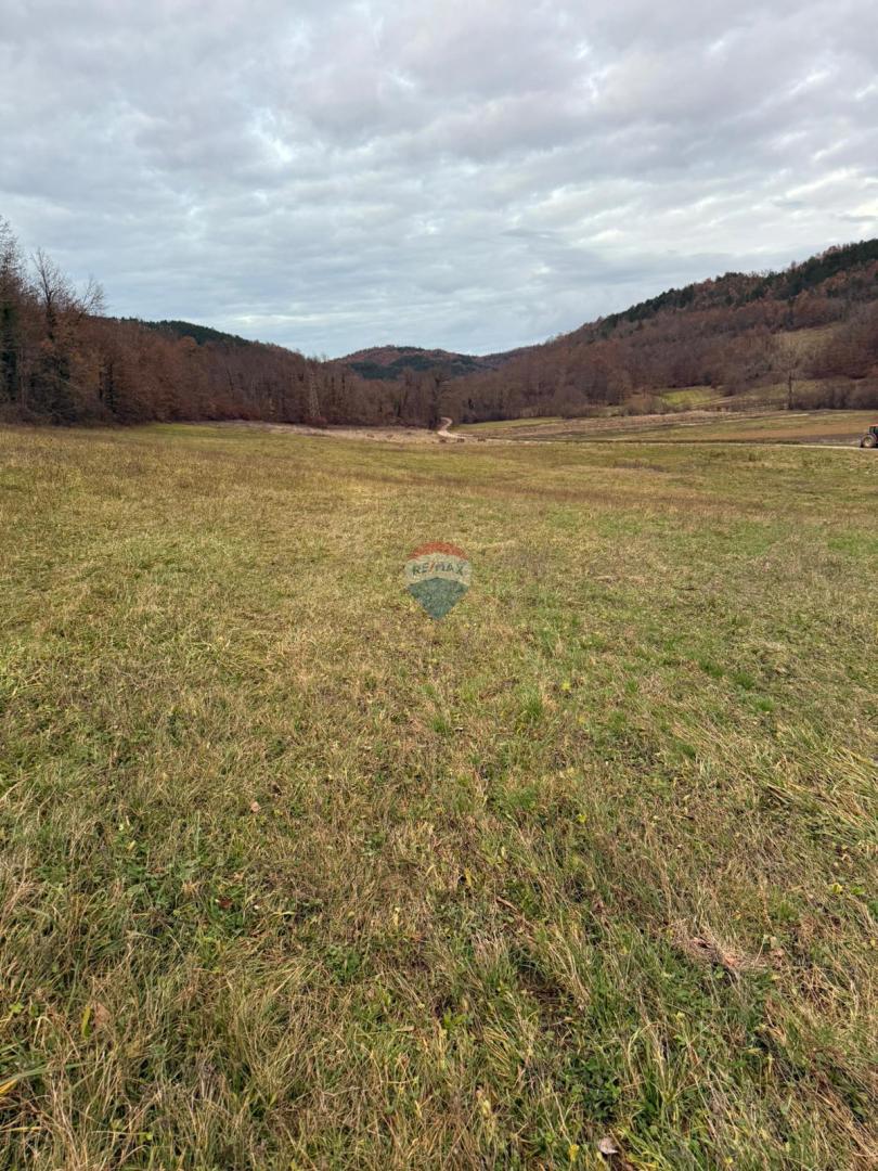 Zemljište Na prodaju - ISTARSKA PAZIN