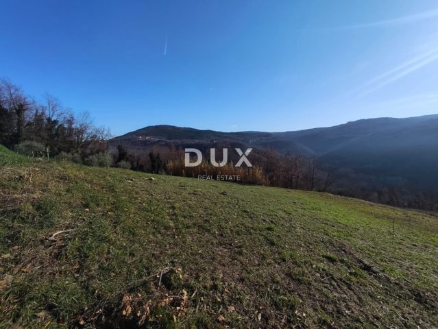 Grundstück Zu verkaufen - Istarska Motovun - foto 5/12