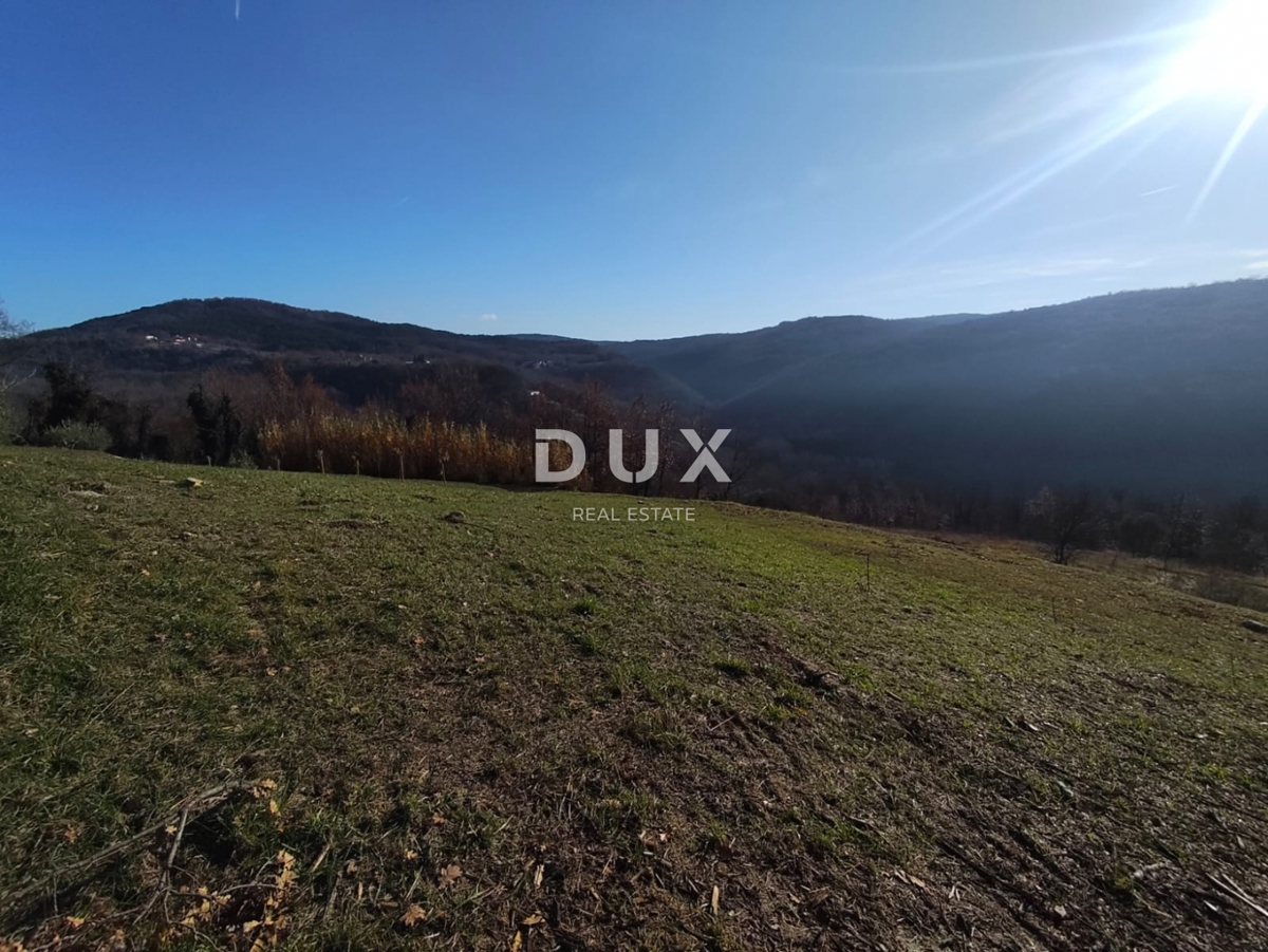 Grundstück Zu verkaufen - Istarska Motovun - foto 1/12