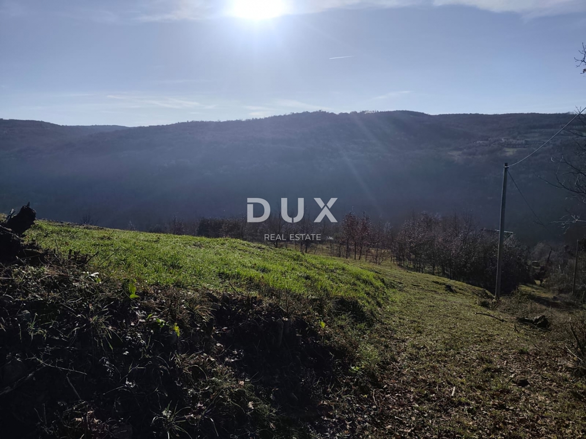 Grundstück Zu verkaufen - Istarska Motovun - foto 3/12