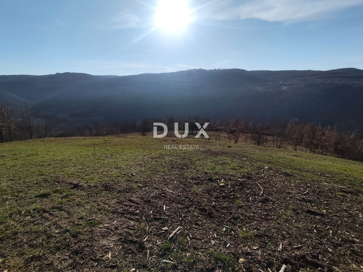 Grundstück Zu verkaufen - Istarska Motovun - foto 4/12