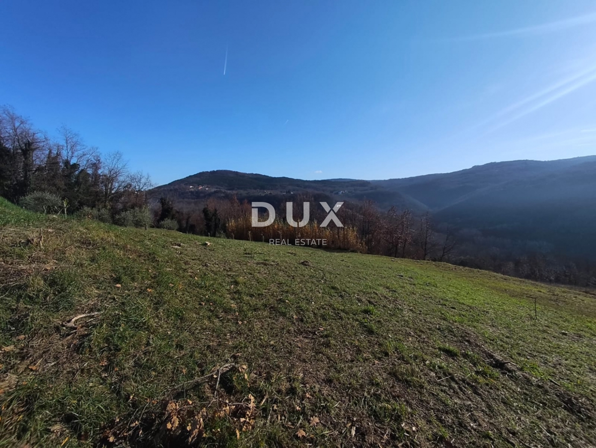 Grundstück Zu verkaufen - Istarska Motovun - foto 5/12