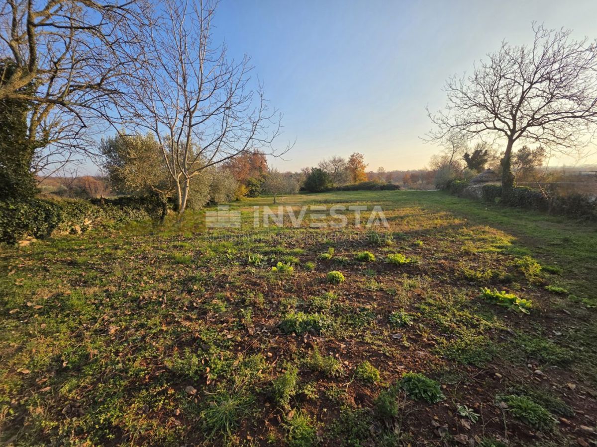 Land For sale - ISTARSKA VODNJAN