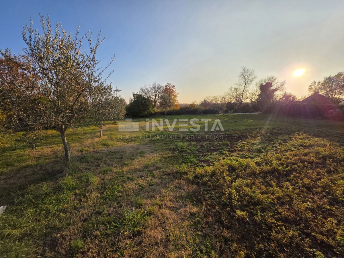 Land For sale - ISTARSKA VODNJAN