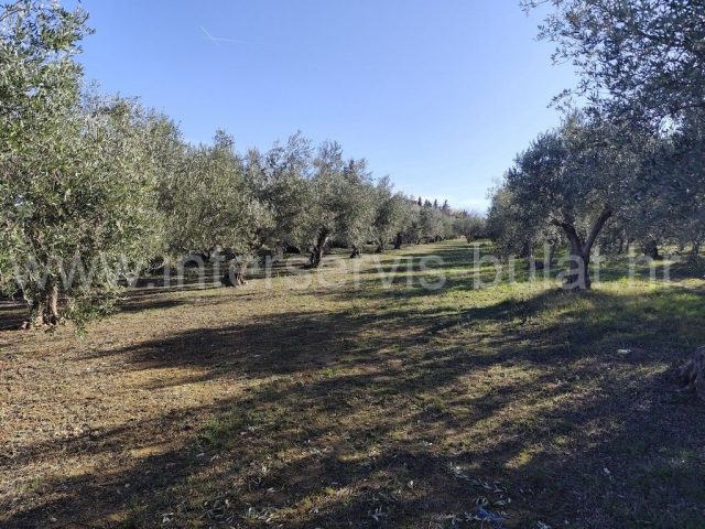 Grundstück zu verkaufen 2198 m² – Skradin