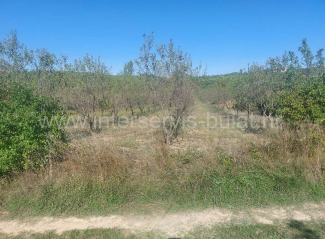 Grundstück zu verkaufen 4709 m² – Skradin