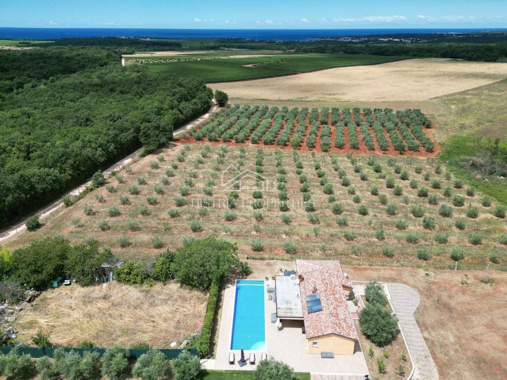 House For sale - Istarska Novigrad - foto 3/19