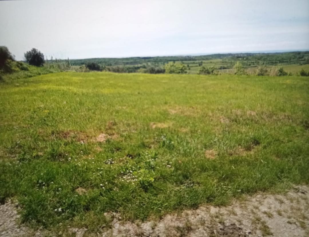 Pozemek Na prodej - Istarska Buje - foto 1/2