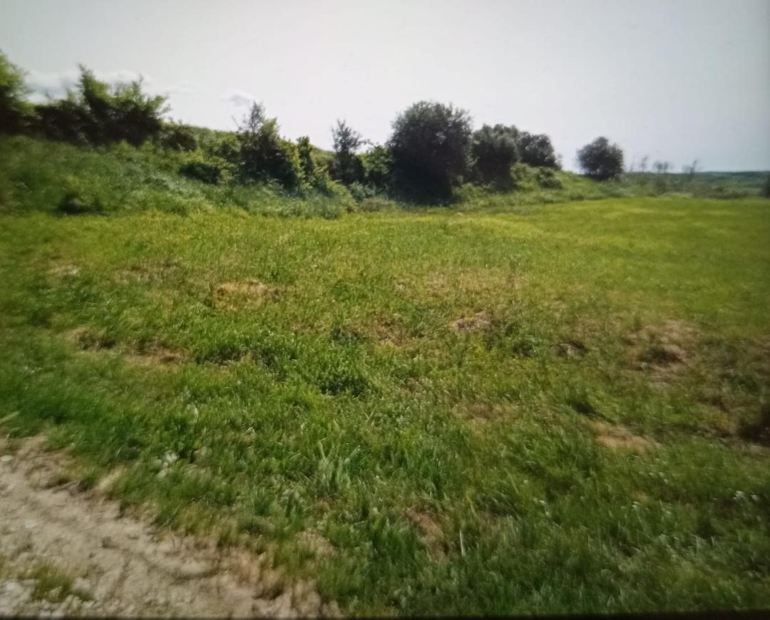 Pozemek Na prodej - Istarska Buje - foto 2/2
