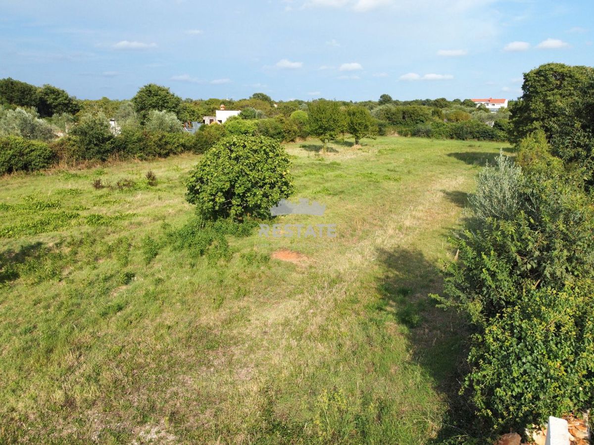Zemljište Na prodaju - ISTARSKA VODNJAN