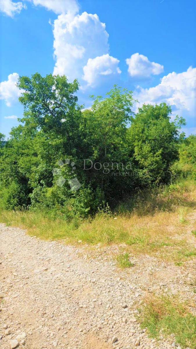 Grundstück Zu verkaufen - Istarska Labin - foto 3/6