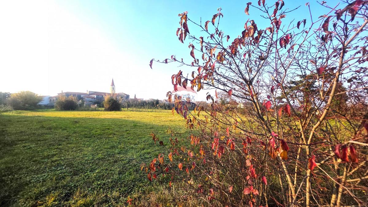 Zemljište Na prodaju - Istarska Brtonigla - foto 3/9