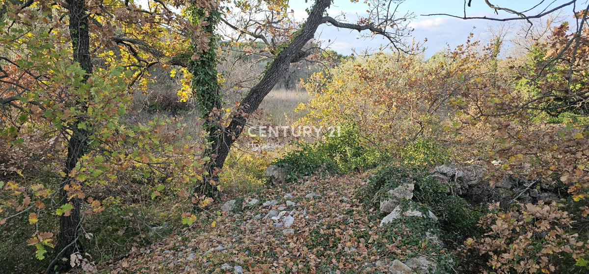 Zemljište Na prodaju - ZADARSKA PAKOŠTANE