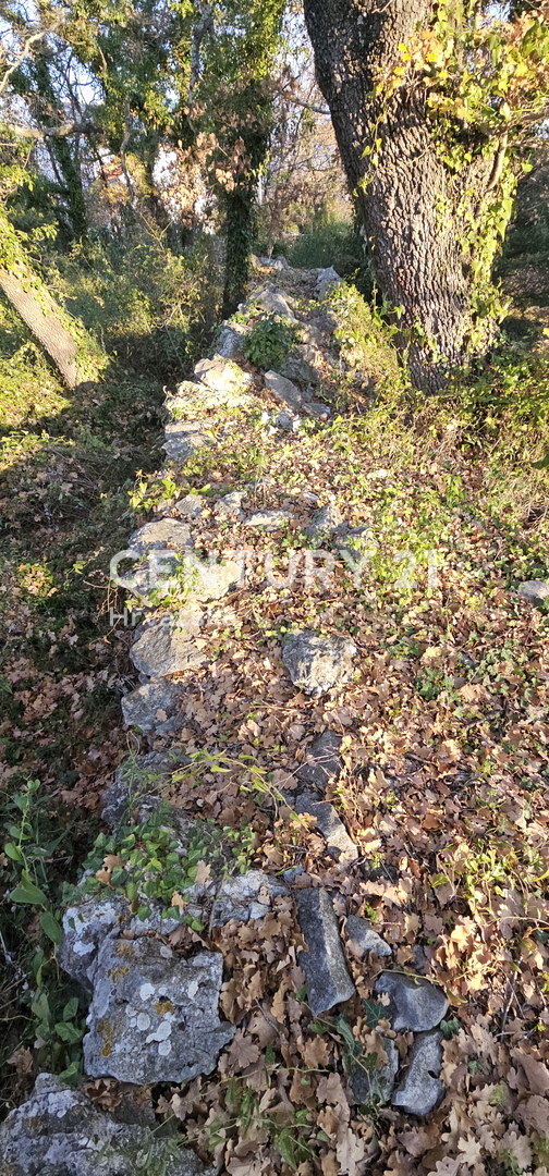 Zemljište Na prodaju - ZADARSKA PAKOŠTANE