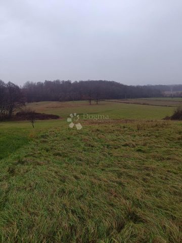 Terrain à vendre 8250 m² – Pisarovina