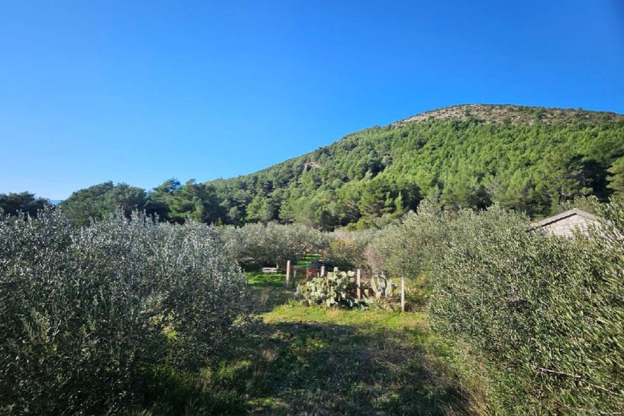 Pozemok Na predaj - SPLITSKO-DALMATINSKA MAKARSKA