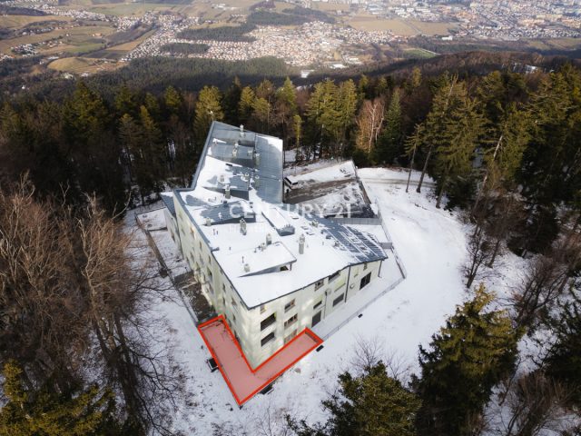 Flat For sale - Požeško-slavonska čaglin - foto 4/25