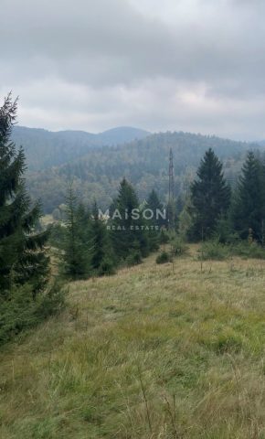 Grundstück Zu verkaufen - Primorsko-goranska Ravna Gora - foto 2/4