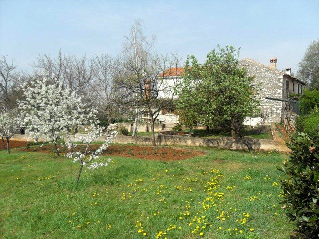 Terreno In vendita - Istarska Buje - foto 3/9