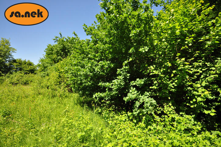 Land For sale - Zagrebačka Sveta Nedelja - foto 1/3