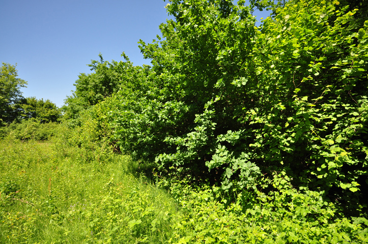 Land For sale - Zagrebačka Sveta Nedelja - foto 2/3