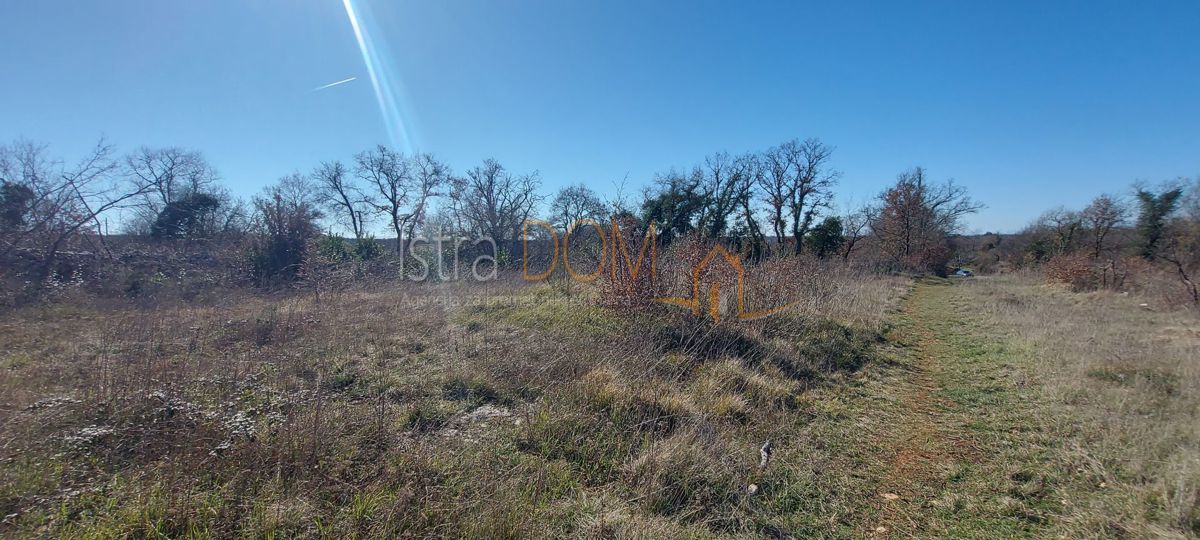 Terreno In vendita - Istarska Svetvinčenat - foto 4/7