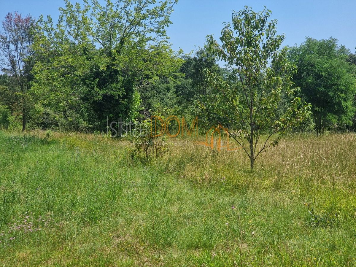 Terreno In vendita - Istarska Svetvinčenat - foto 1/2