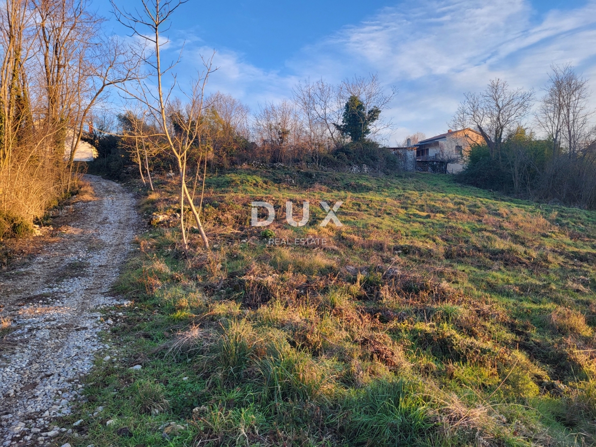 Land For sale - ISTARSKA BUZET