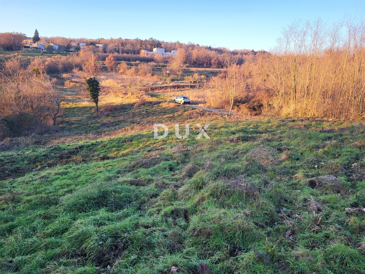 Land For sale - ISTARSKA BUZET
