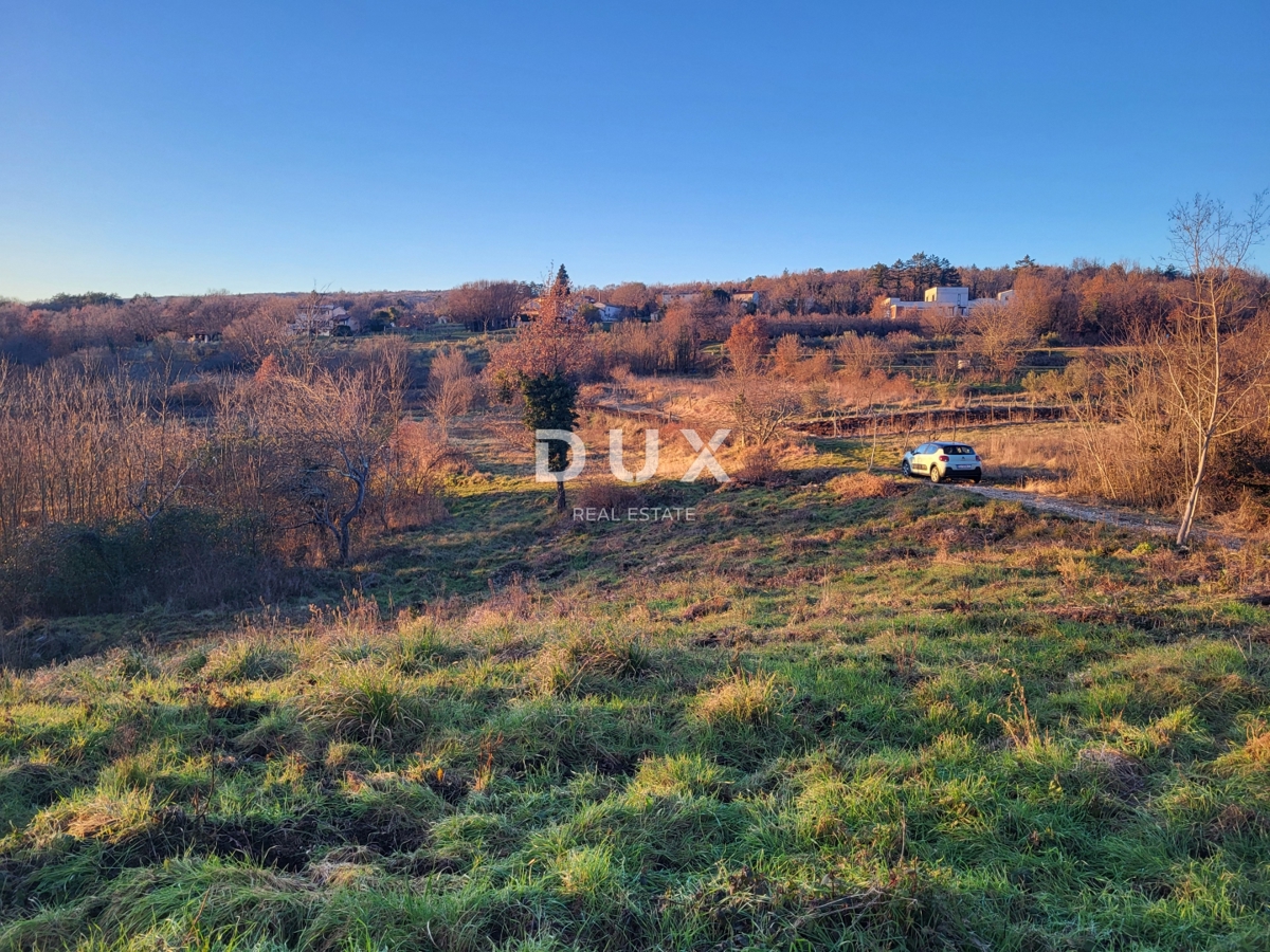 Land For sale - ISTARSKA BUZET