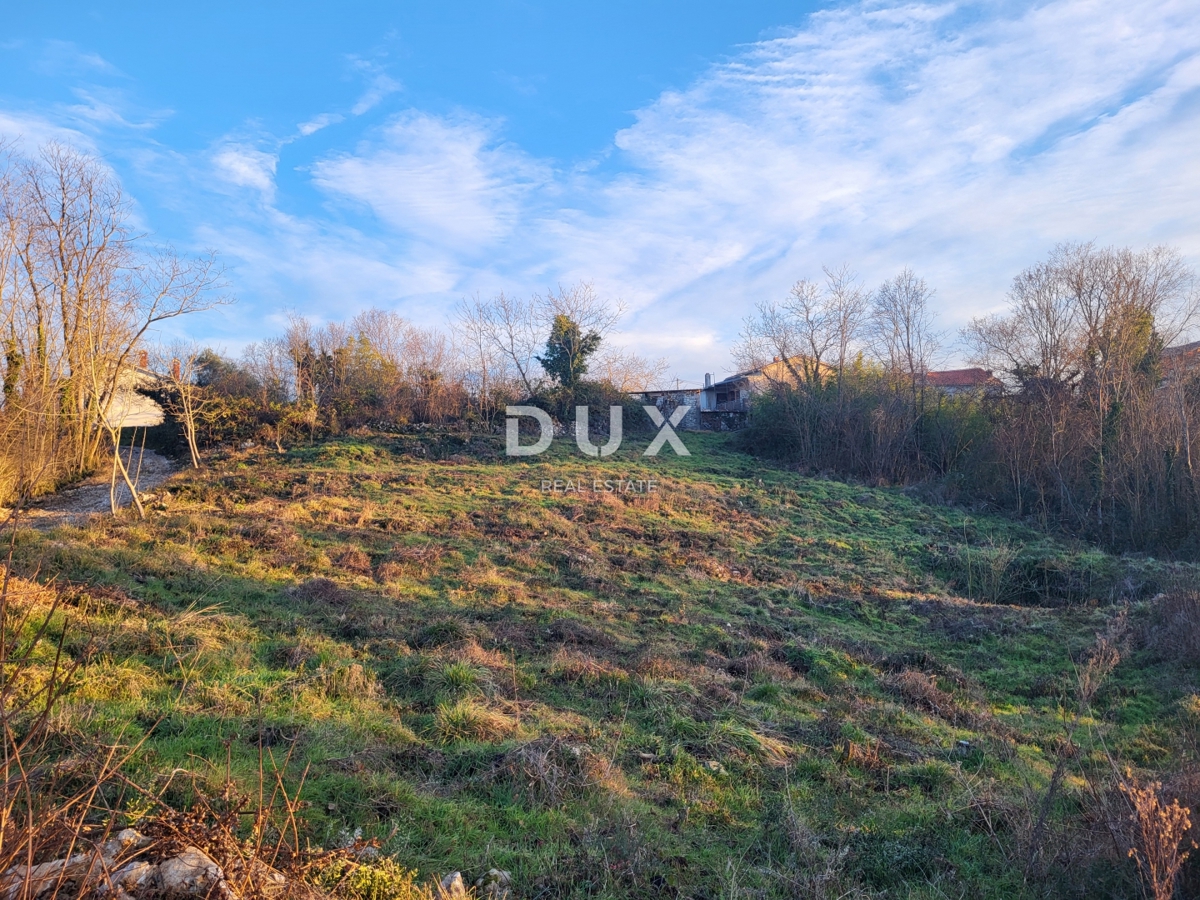 Land For sale - ISTARSKA BUZET