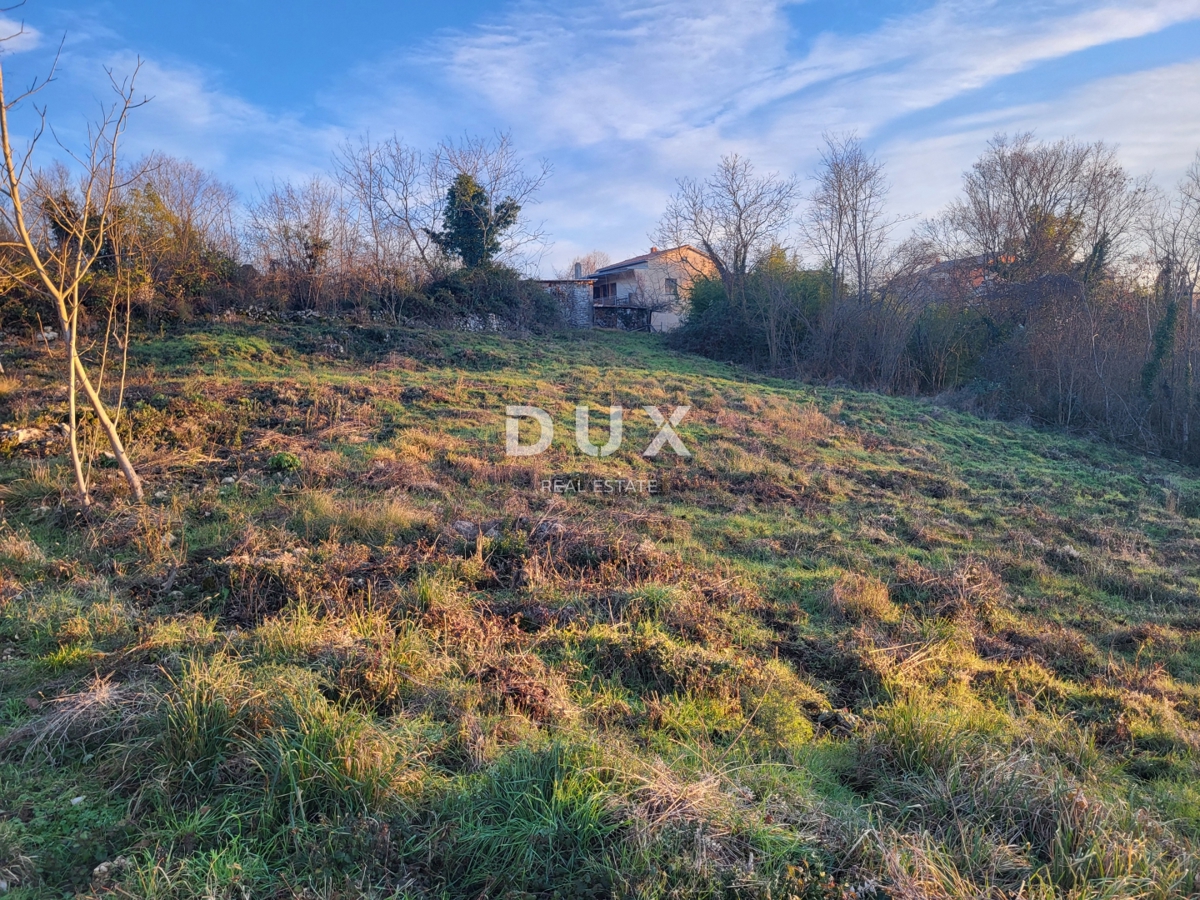 Land For sale - ISTARSKA BUZET