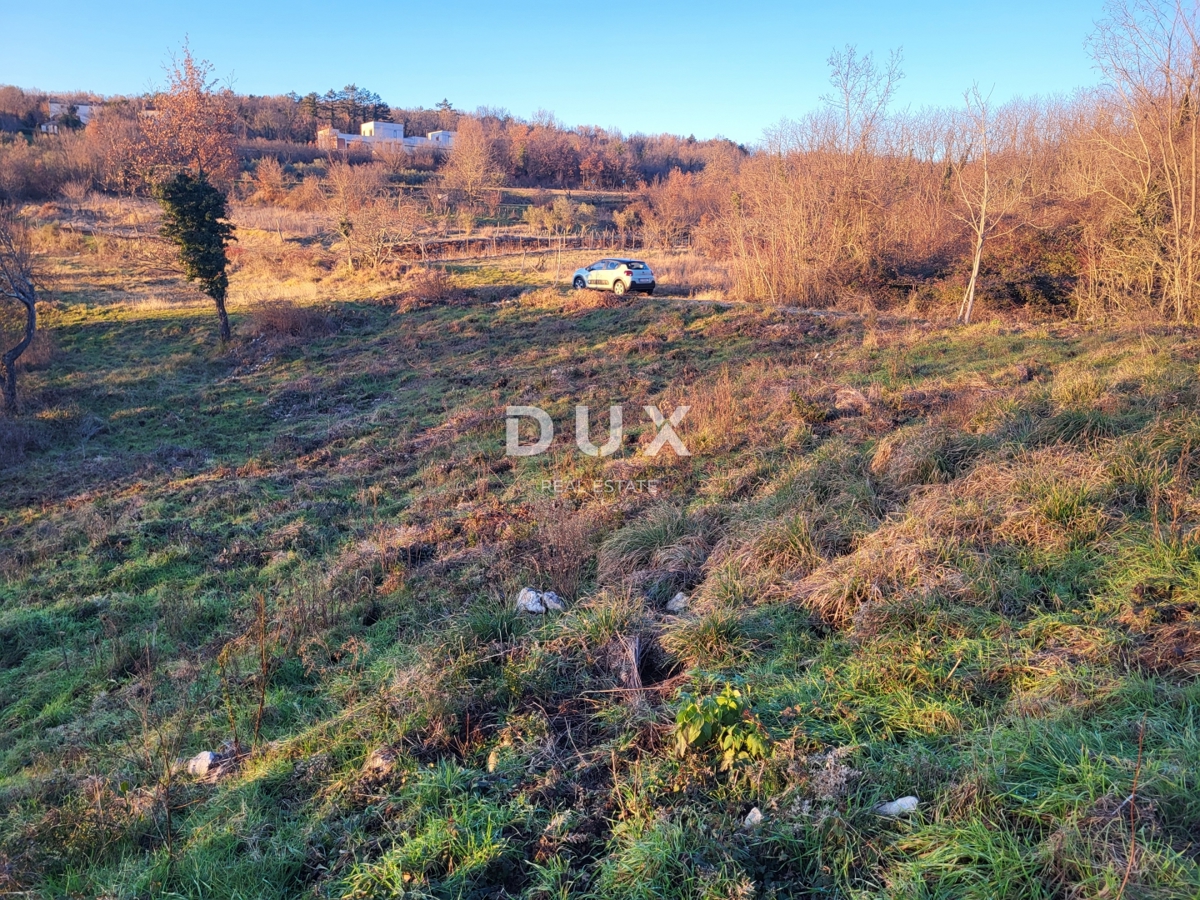 Land For sale - ISTARSKA BUZET