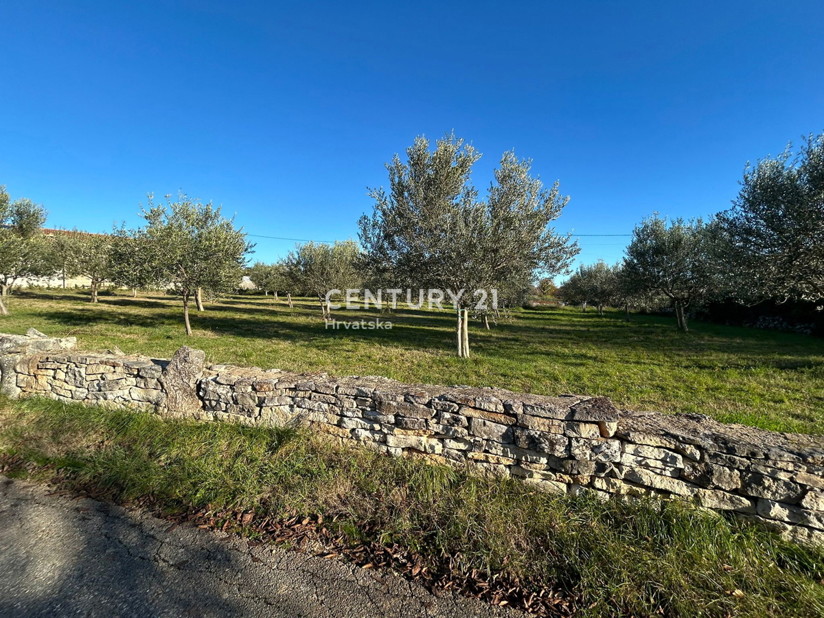 Zemljište Na prodaju - ISTARSKA SVETI LOVREČ