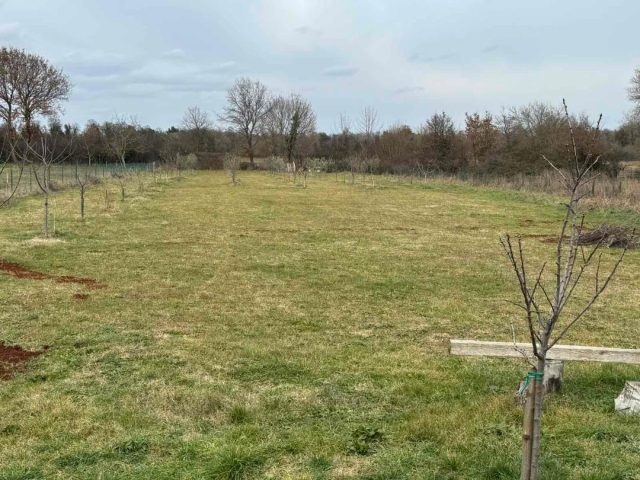 Grundstück zu verkaufen 3025 m² – Marčana