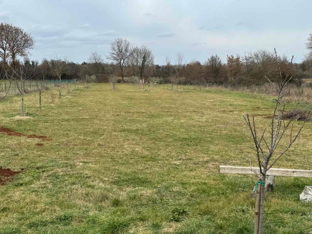 Grundstück Zu verkaufen - Istarska Marčana - foto 1/2