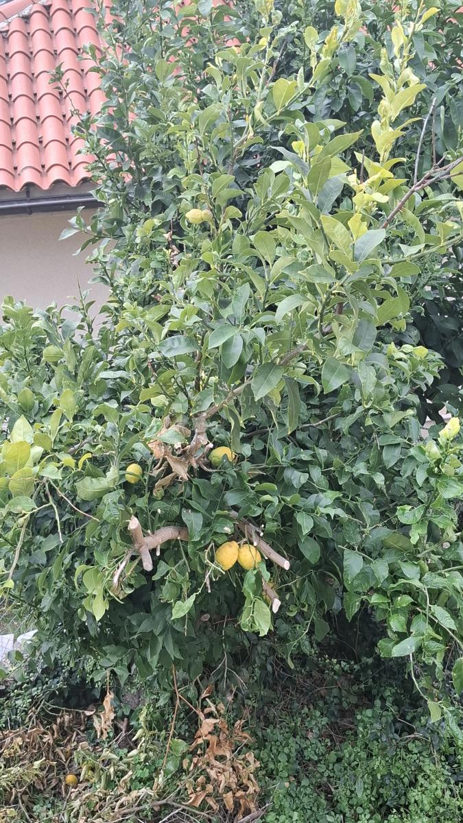 Stan Na prodaju - PRIMORSKO-GORANSKA MALI LOŠINJ