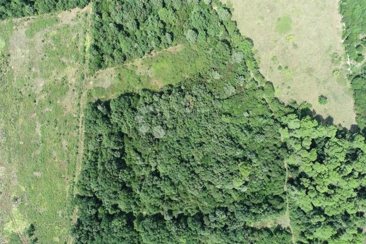 Parcela Naprodaj - Istarska Ližnjan - foto 3/4