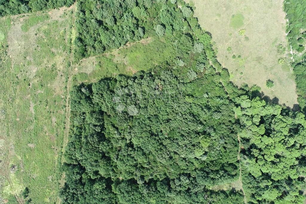 Działka Na sprzedaż - Istarska Ližnjan - foto 3/4