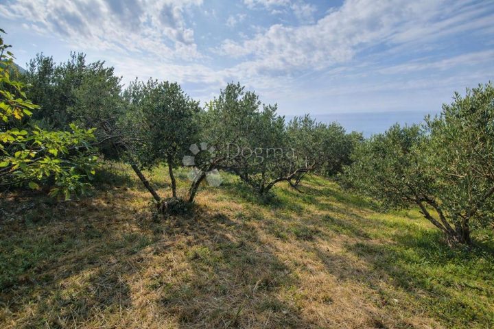 Parcela na predaj 3000 m² – Sveti Filip I Jakov