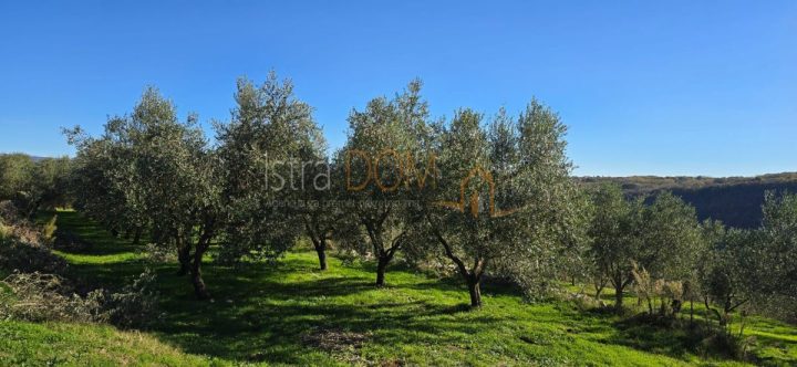 Terrain À vendre - Istarska Pićan - foto 5/17