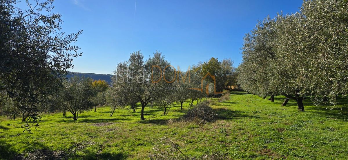 Terreno In vendita PIĆAN