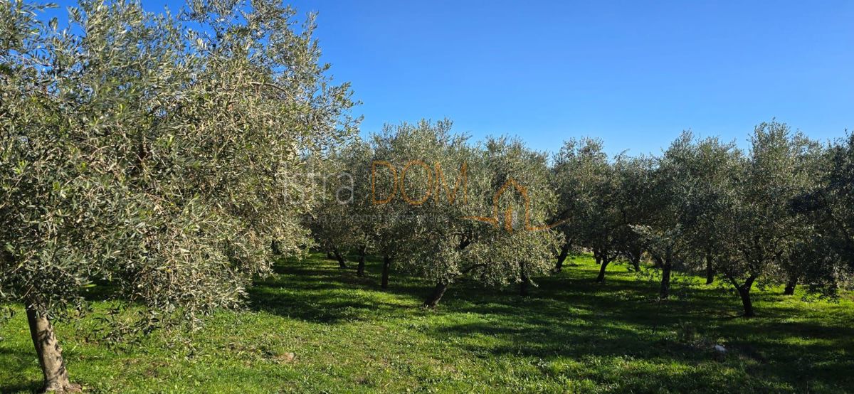 Terreno In vendita - ISTARSKA PIĆAN