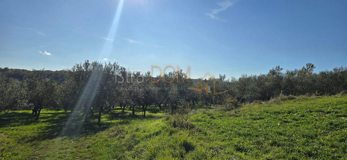 Terreno In vendita - ISTARSKA PIĆAN