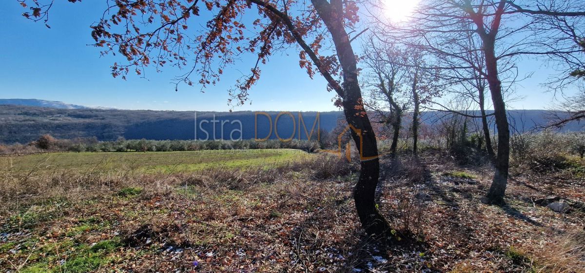 Terreno In vendita - ISTARSKA PIĆAN