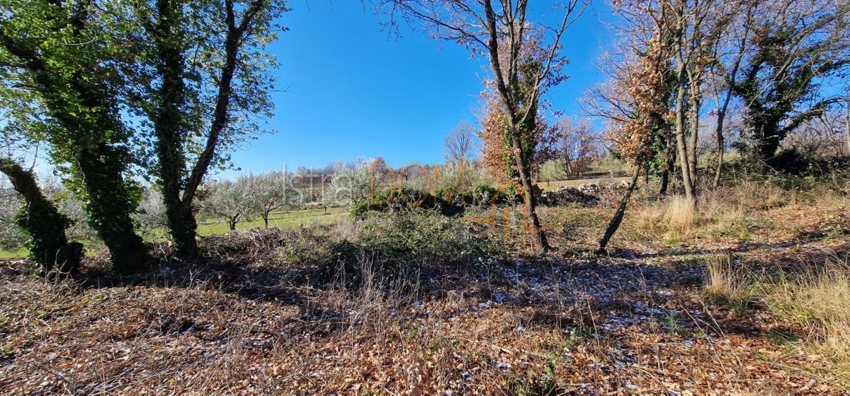 Terreno In vendita - ISTARSKA PIĆAN