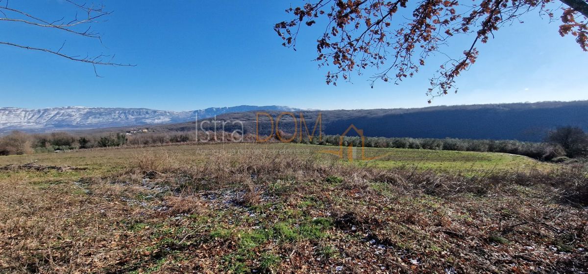 Terreno In vendita - ISTARSKA PIĆAN