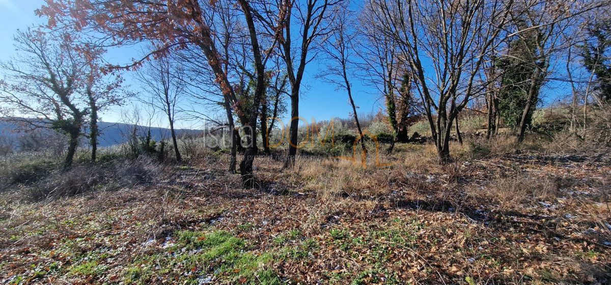 Terreno In vendita - ISTARSKA PIĆAN